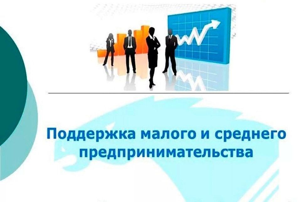 О мерах финансовой поддержки молодым предпринимателям