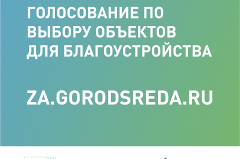 В Александровском районе приступили к работе волонтеры для поддержки рейтингового голосования