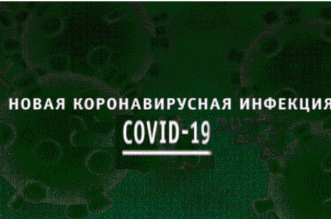 Волонтёры села Александровского оказывают помощь пожилым людям и пенсионерам