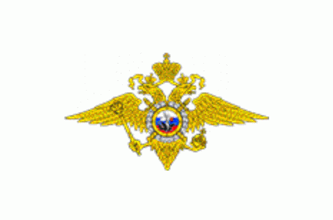 Профилактические мероприятия в рамках акции #Засветись прошли в образовательных учреждениях Александровского района